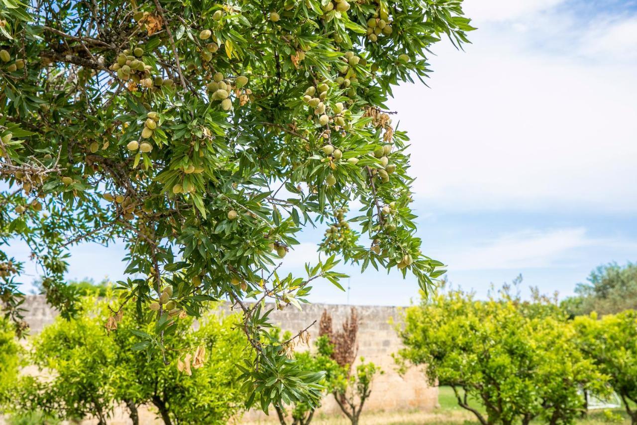 Masseria Baroni Nuovi Villa Brindisi Esterno foto