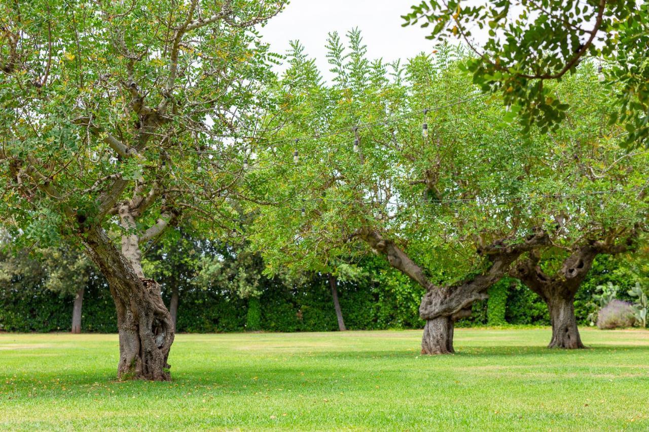 Masseria Baroni Nuovi Villa Brindisi Esterno foto