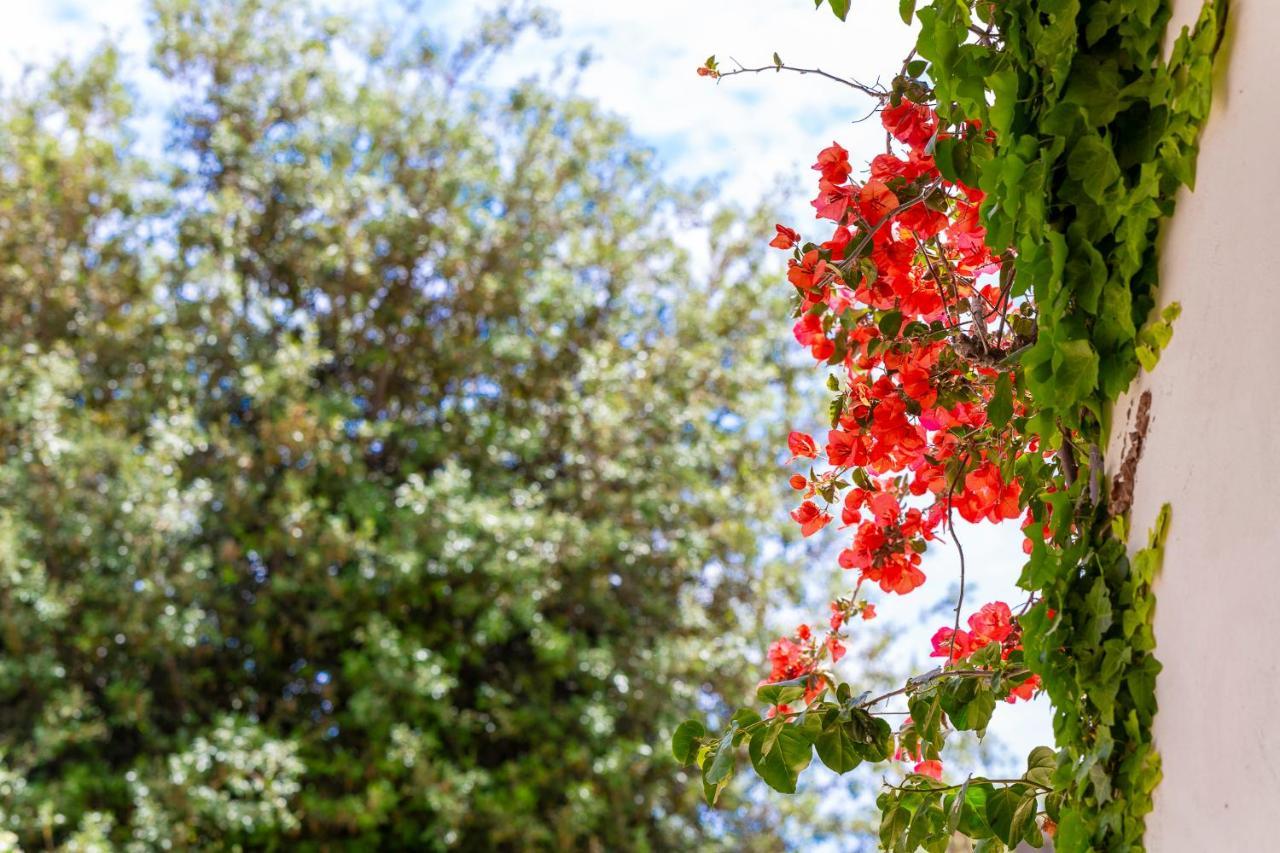 Masseria Baroni Nuovi Villa Brindisi Esterno foto