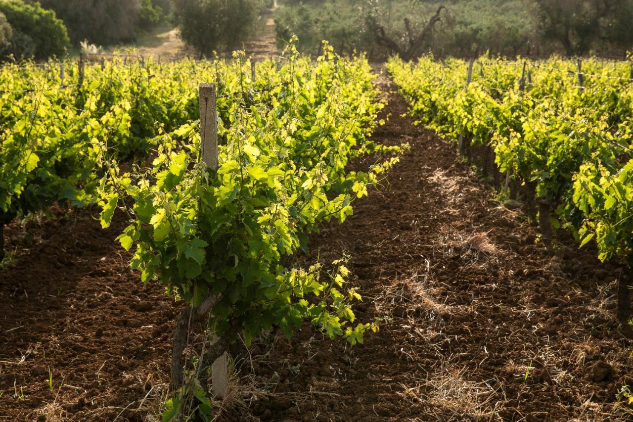 Masseria Baroni Nuovi Villa Brindisi Esterno foto