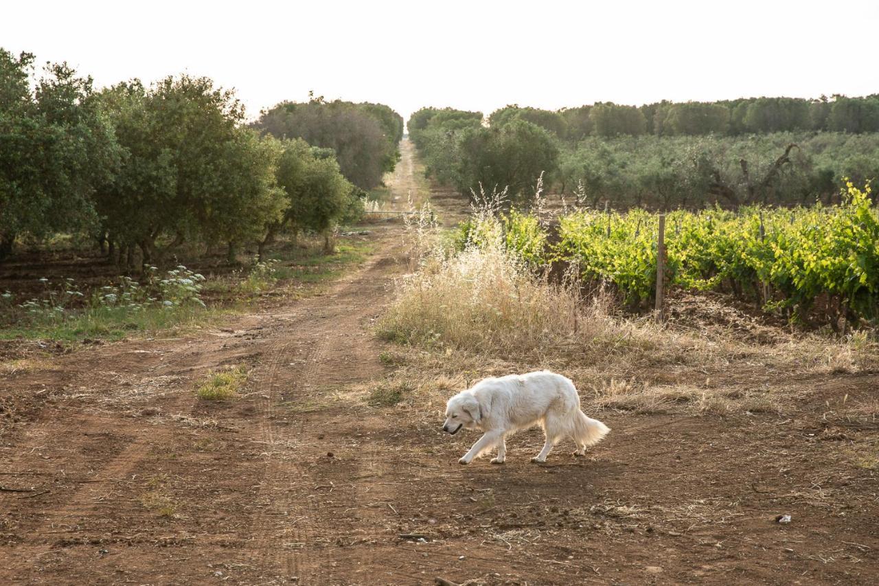 Masseria Baroni Nuovi Villa Brindisi Esterno foto