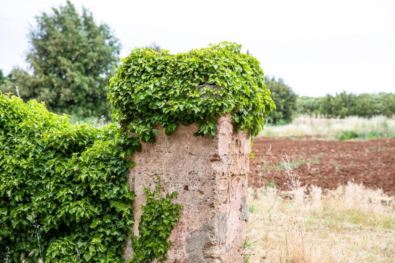 Masseria Baroni Nuovi Villa Brindisi Esterno foto